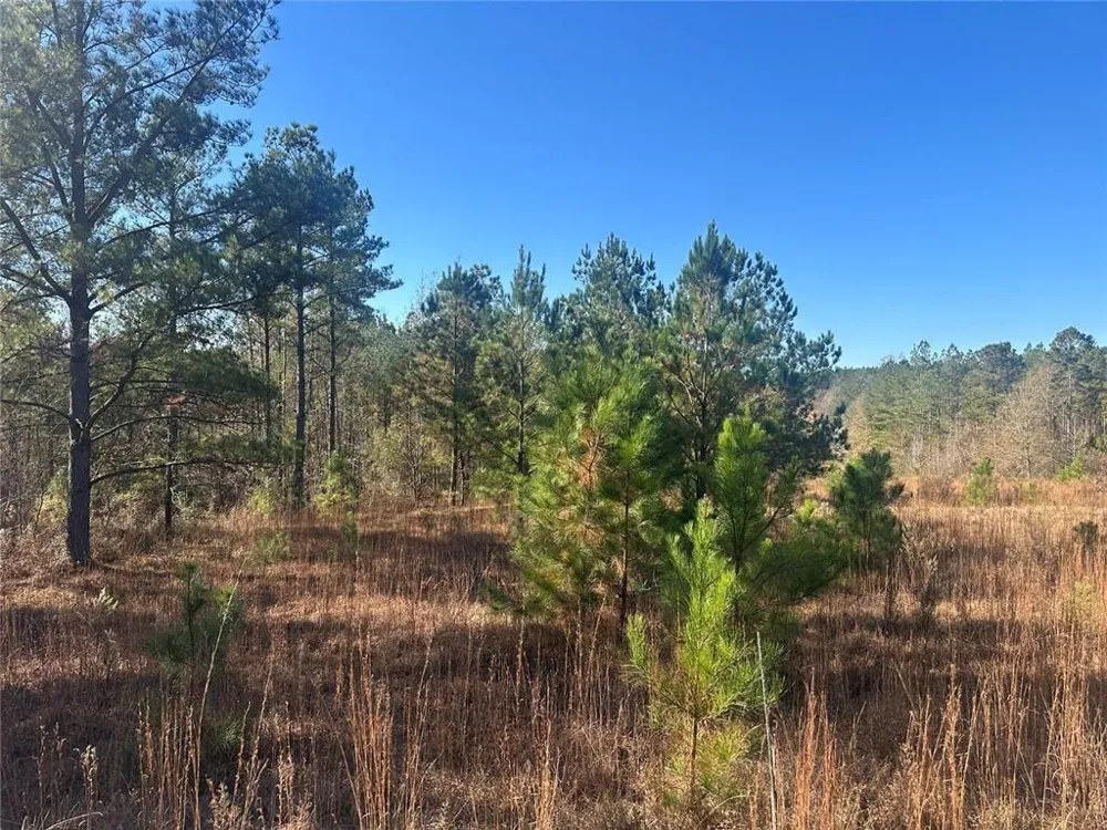0 Indian Trail Road Sandersville, GA 31082