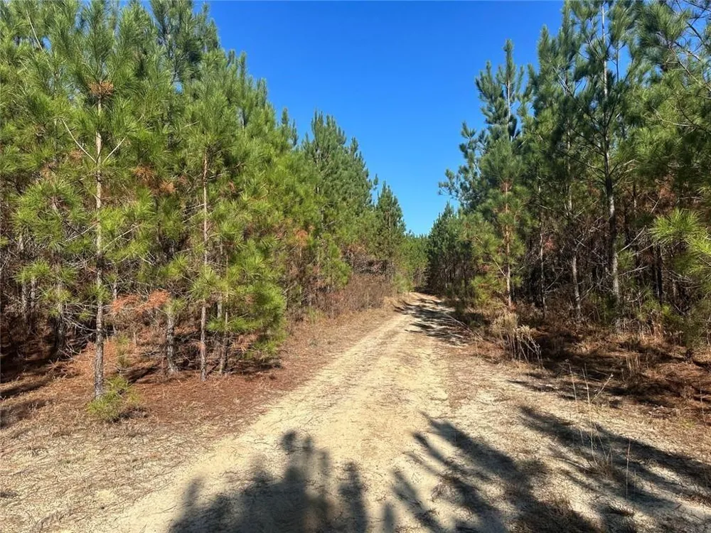 0 Indian Trail Road Sandersville, GA 31082