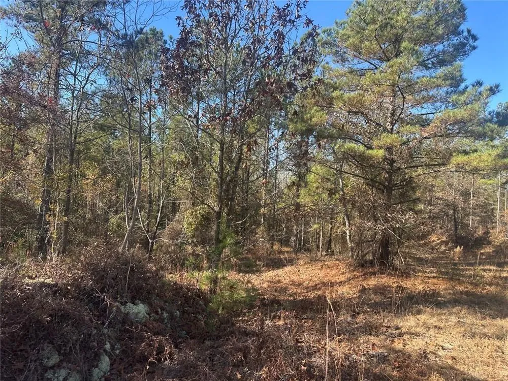 0 Indian Trail Road Sandersville, GA 31082