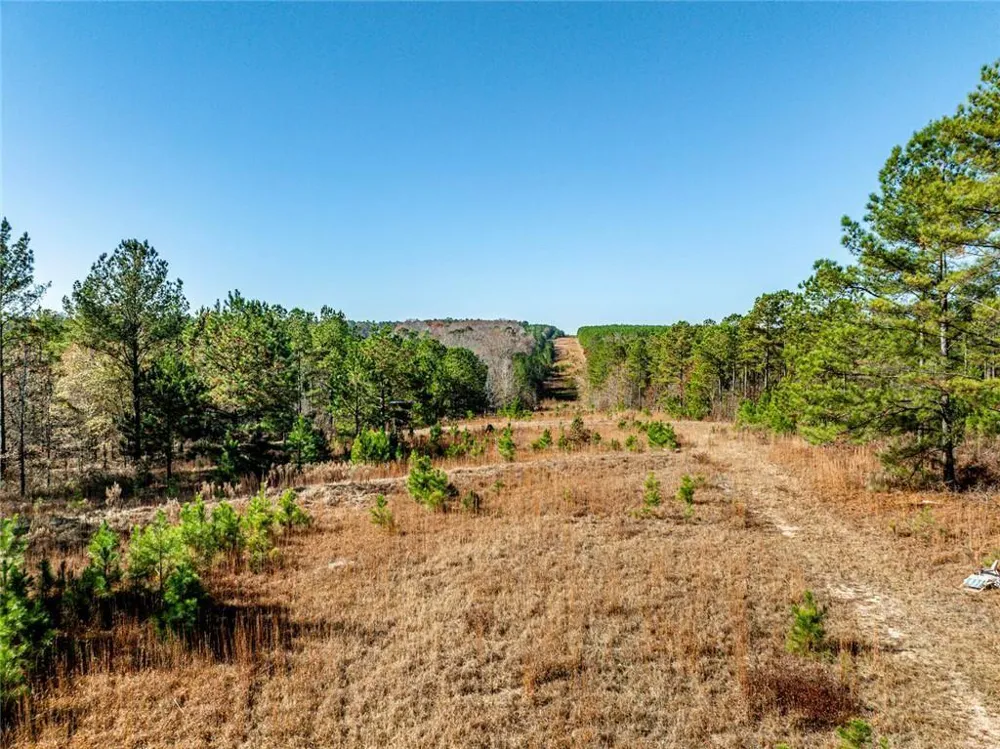0 Indian Trail Road Sandersville, GA 31082