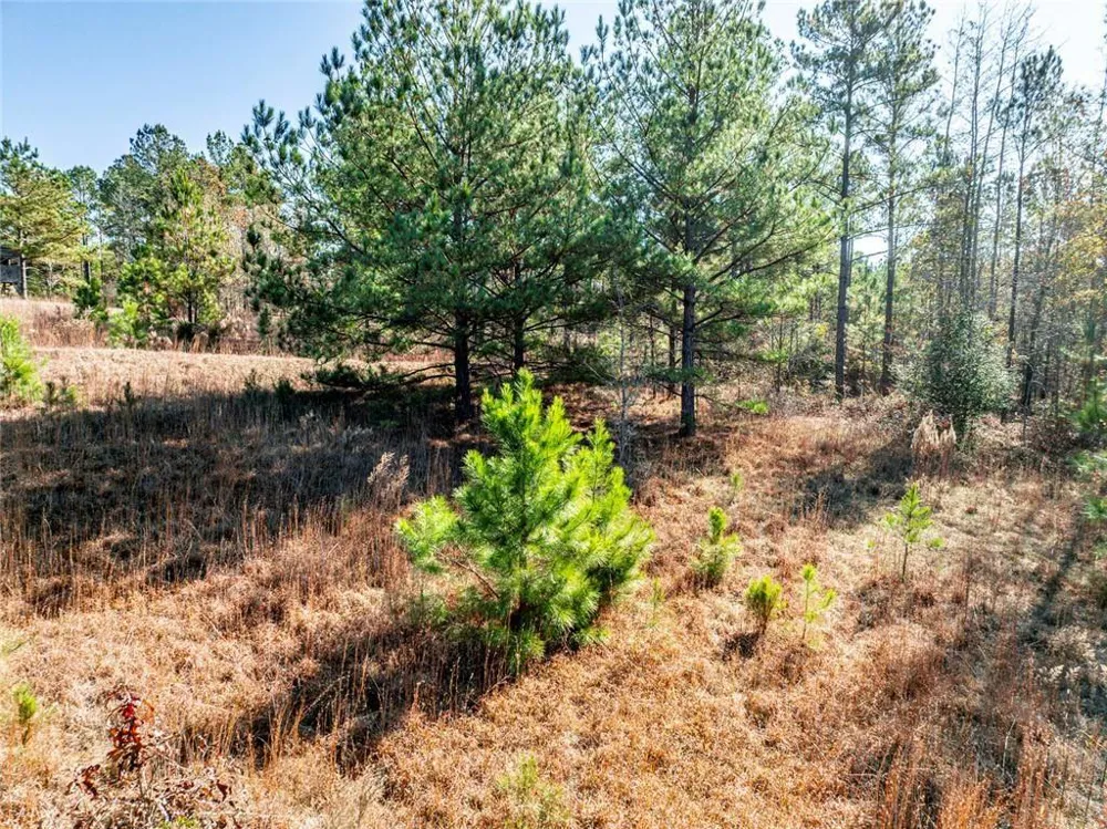 0 Indian Trail Road Sandersville, GA 31082