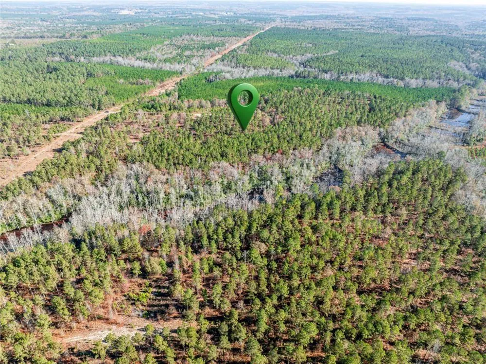 0 Indian Trail Road Sandersville, GA 31082