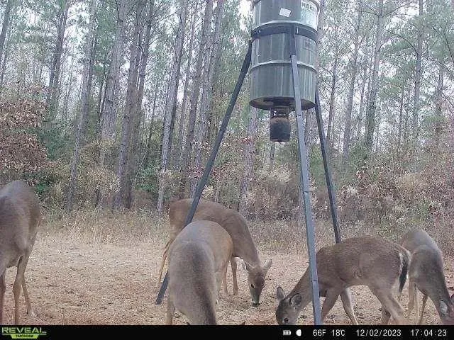 0 Indian Trail Road Sandersville, GA 31082