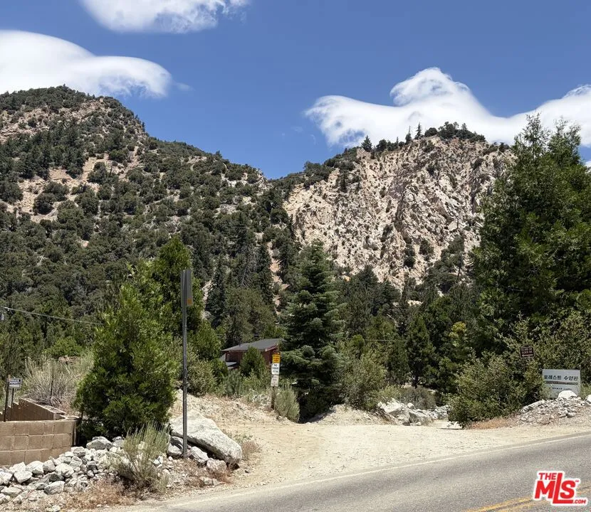 41471 Valley Of The Falls Drive Forest Falls, CA 92339