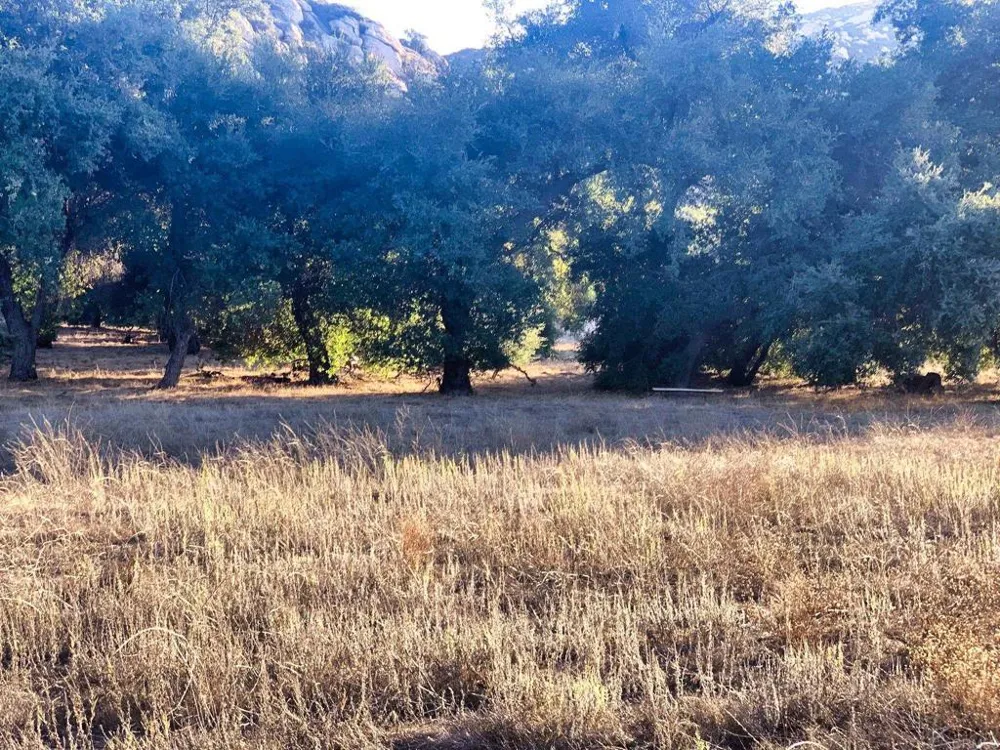 24352 Featherstone Canyon Rd Lakeside, CA 92040