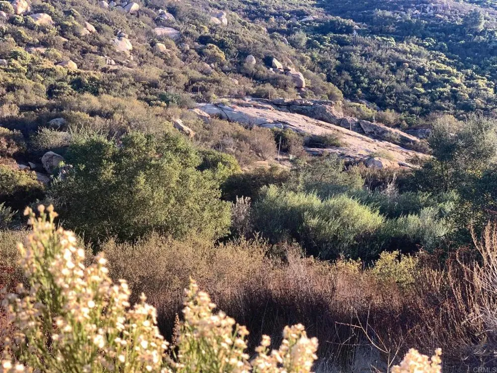 24352 Featherstone Canyon Rd Lakeside, CA 92040