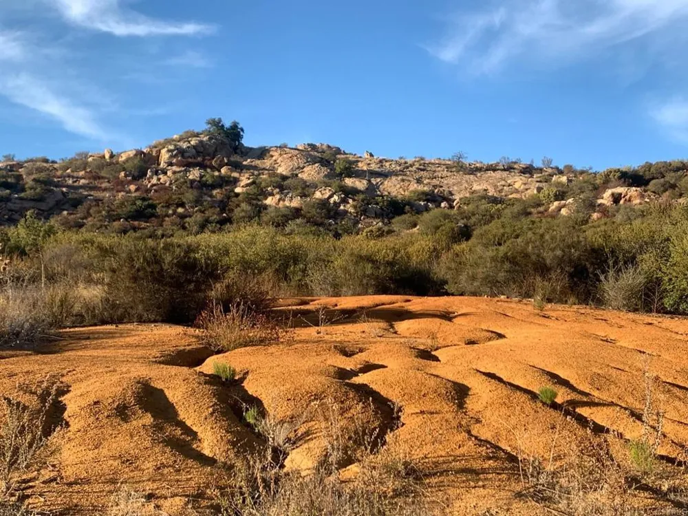 24352 Featherstone Canyon Rd Lakeside, CA 92040