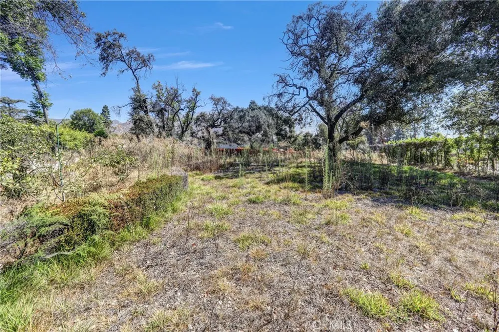 1085 Rubio Altadena, CA 91001
