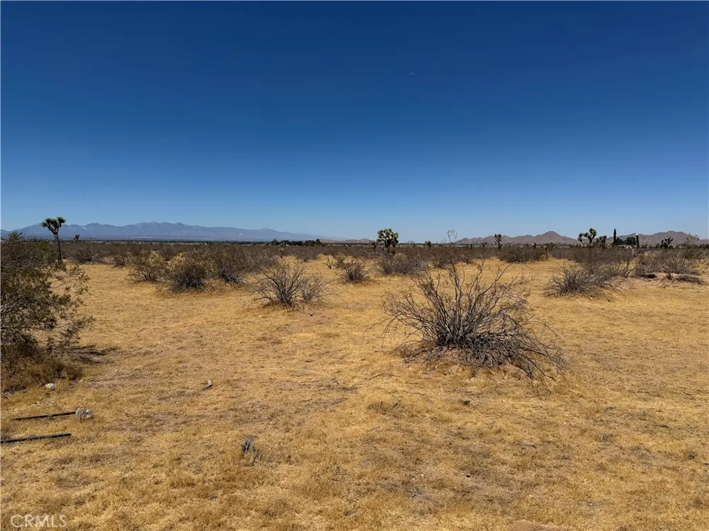 4362025 Rocky Point Apple Valley, CA 92307