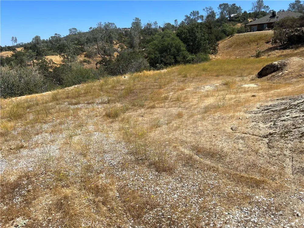 1572 Lilley Mountain Coarsegold, CA 93614