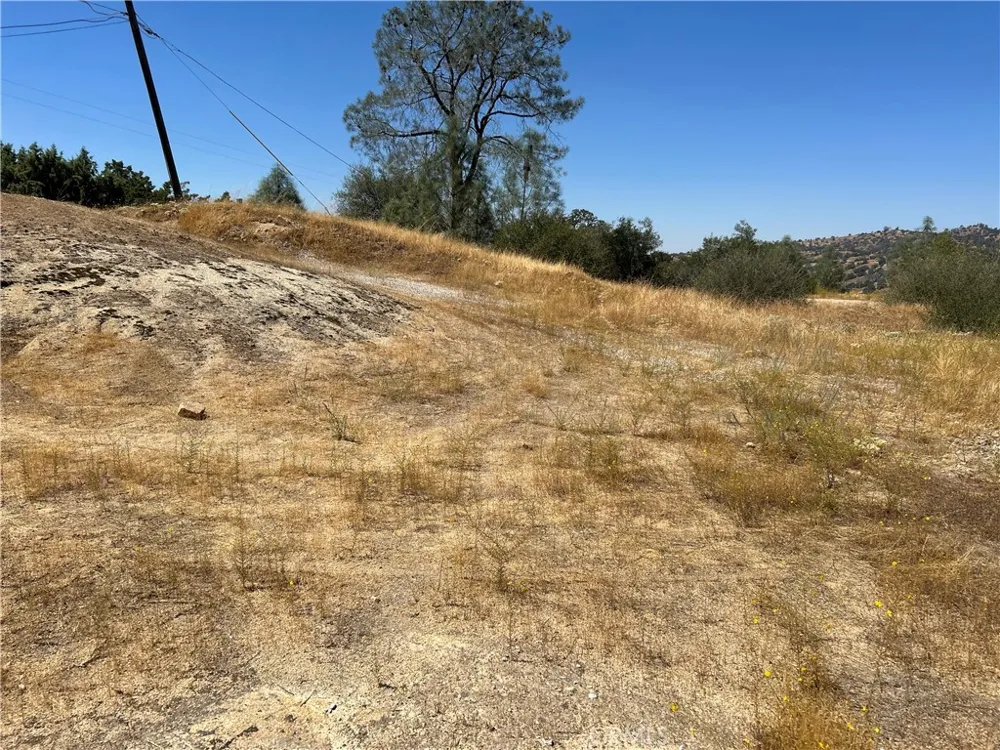 1572 Lilley Mountain Coarsegold, CA 93614