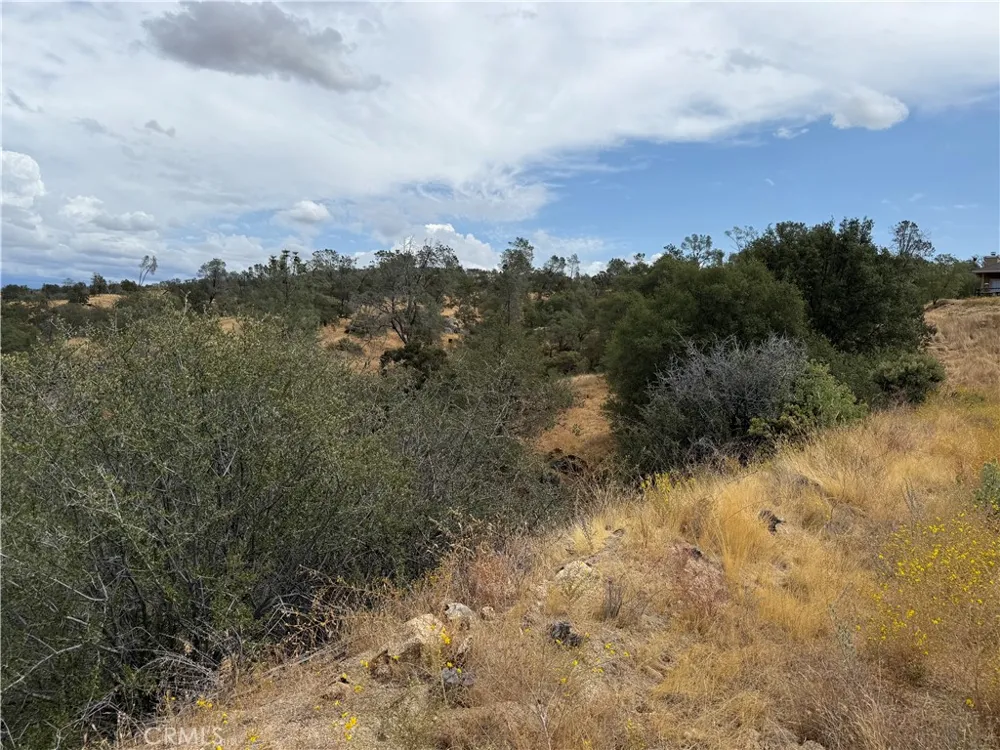 1572 Lilley Mountain Coarsegold, CA 93614