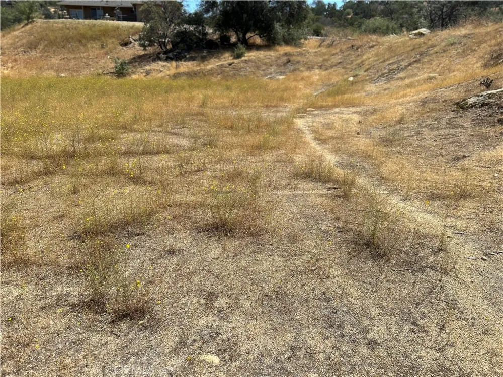 1572 Lilley Mountain Coarsegold, CA 93614