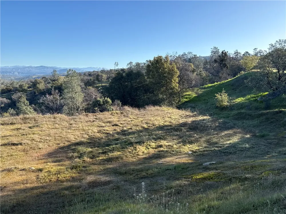 1572 Lilley Mountain Coarsegold, CA 93614