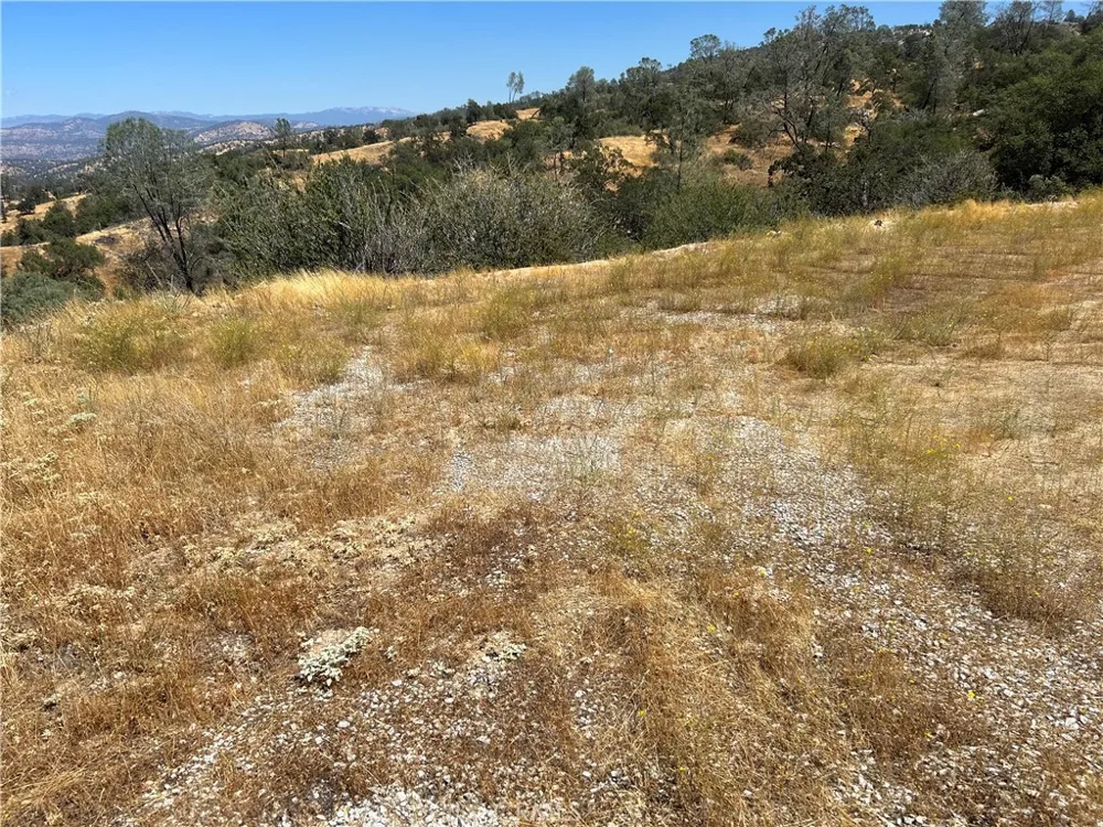 1572 Lilley Mountain Coarsegold, CA 93614