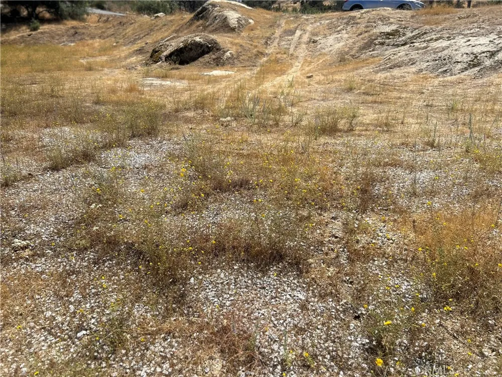 1572 Lilley Mountain Coarsegold, CA 93614