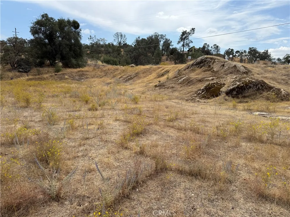 1572 Lilley Mountain Coarsegold, CA 93614