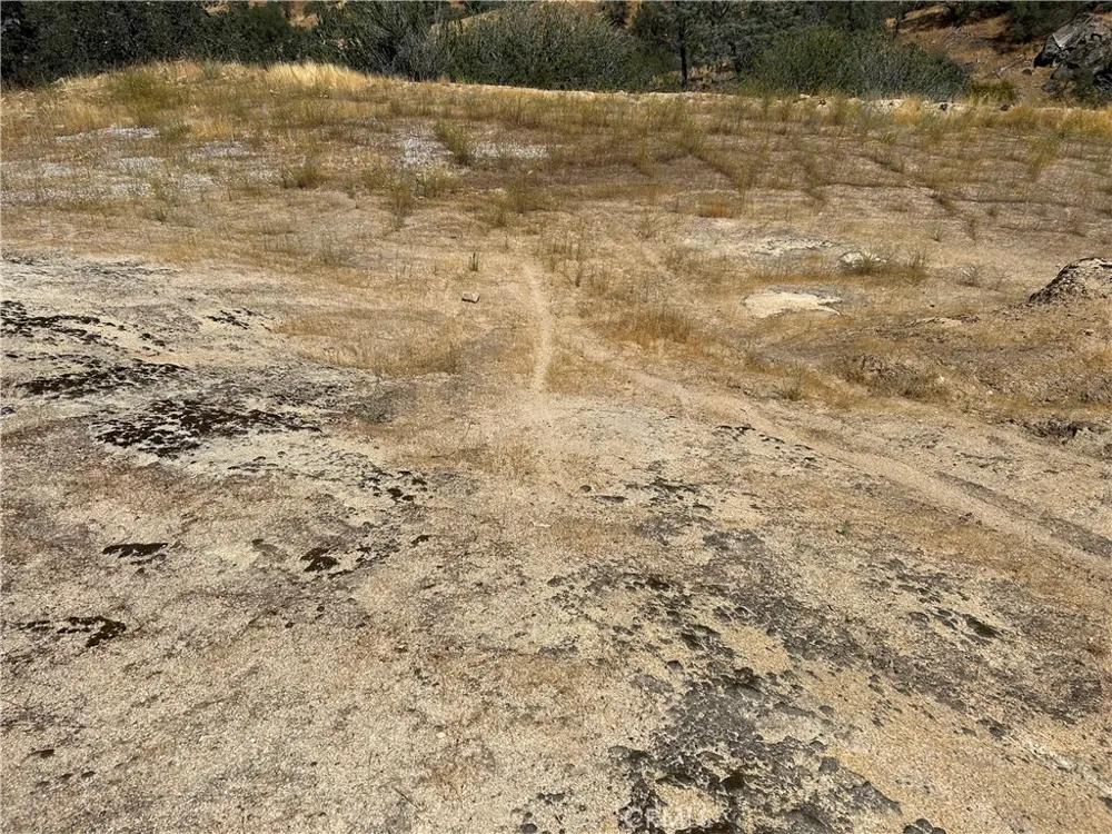 1572 Lilley Mountain Coarsegold, CA 93614