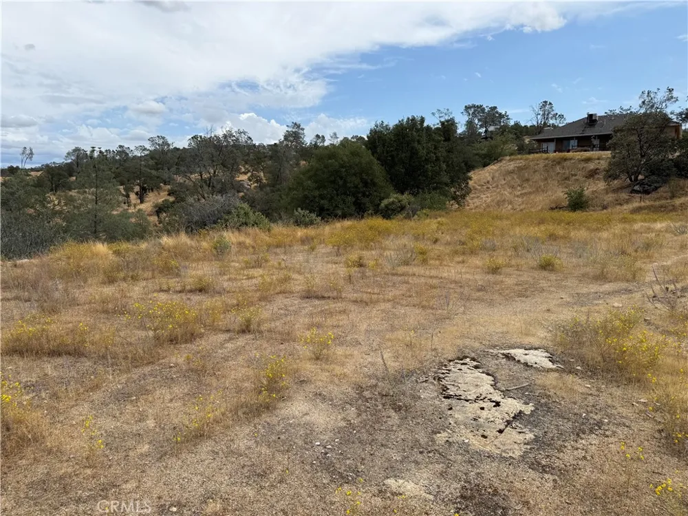 1572 Lilley Mountain Coarsegold, CA 93614