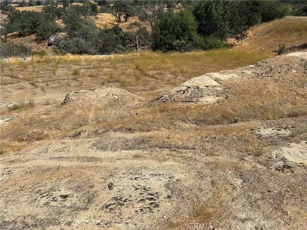1572 Lilley Mountain Coarsegold, CA 93614