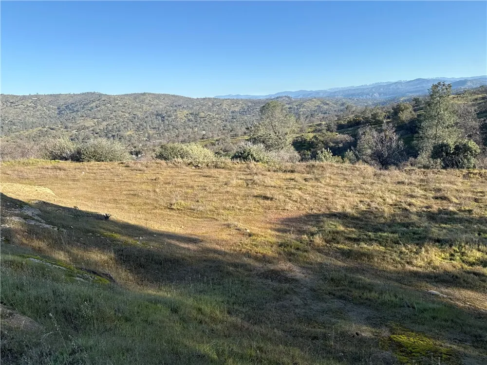 1572 Lilley Mountain Coarsegold, CA 93614