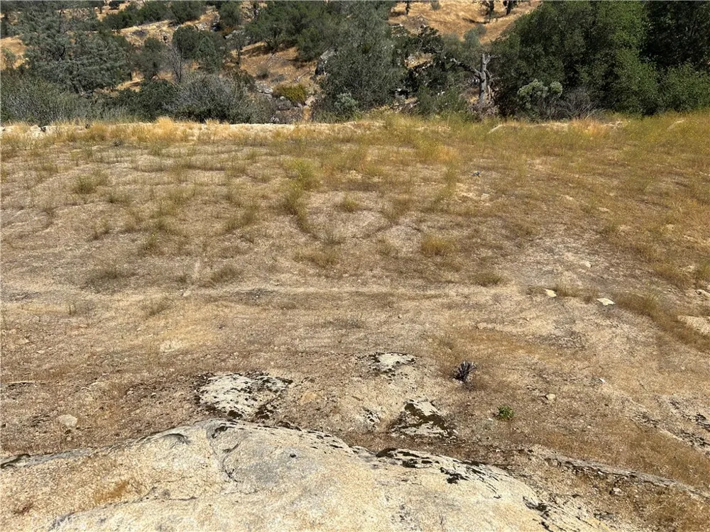 1572 Lilley Mountain Coarsegold, CA 93614
