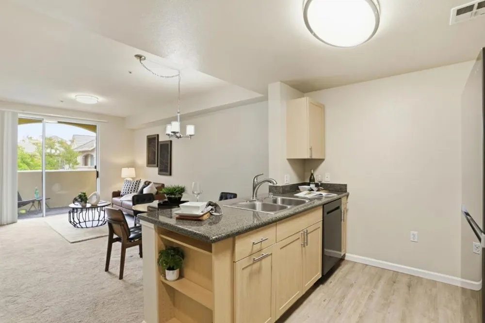 1550 Technology Drive #4106 San Jose, CA 95110