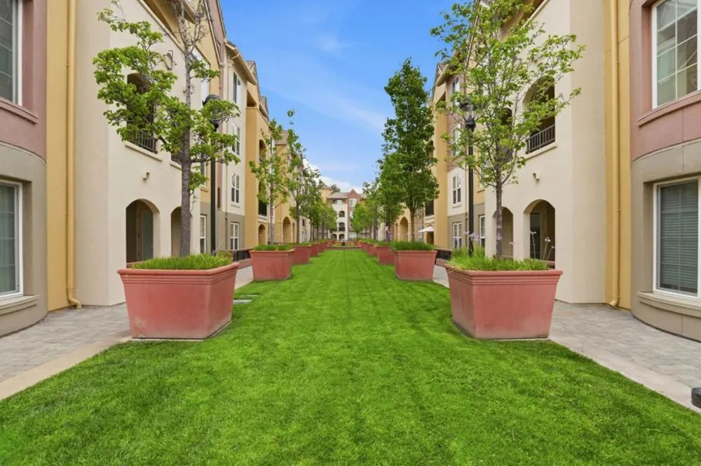 1550 Technology Drive #4106 San Jose, CA 95110