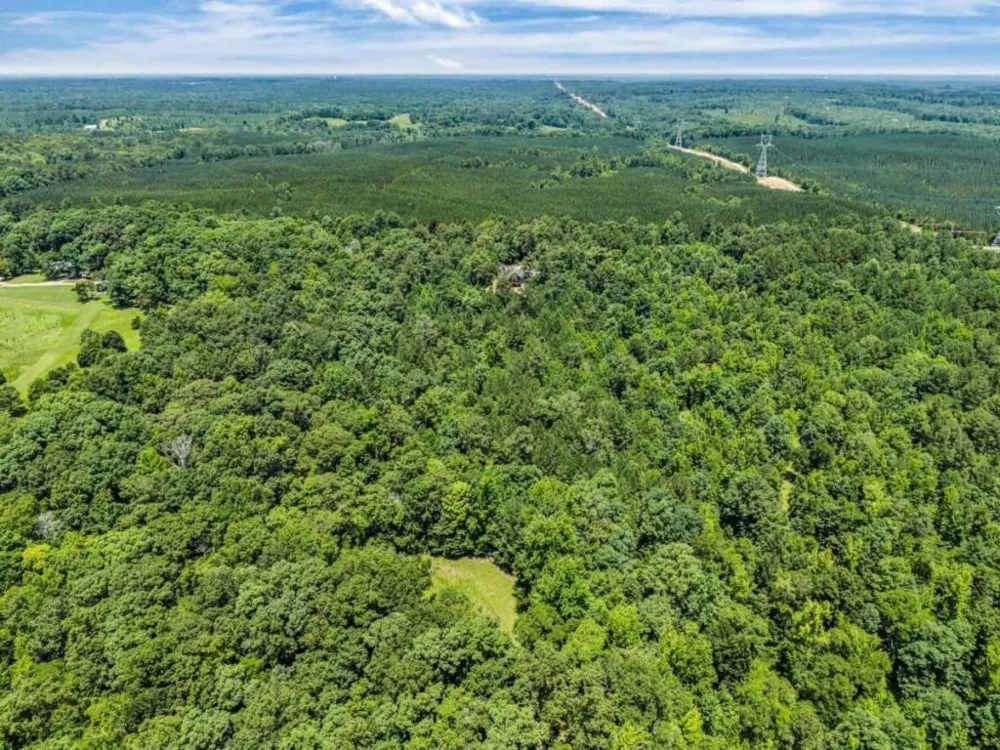 236 Denham Road Eatonton, GA 31024