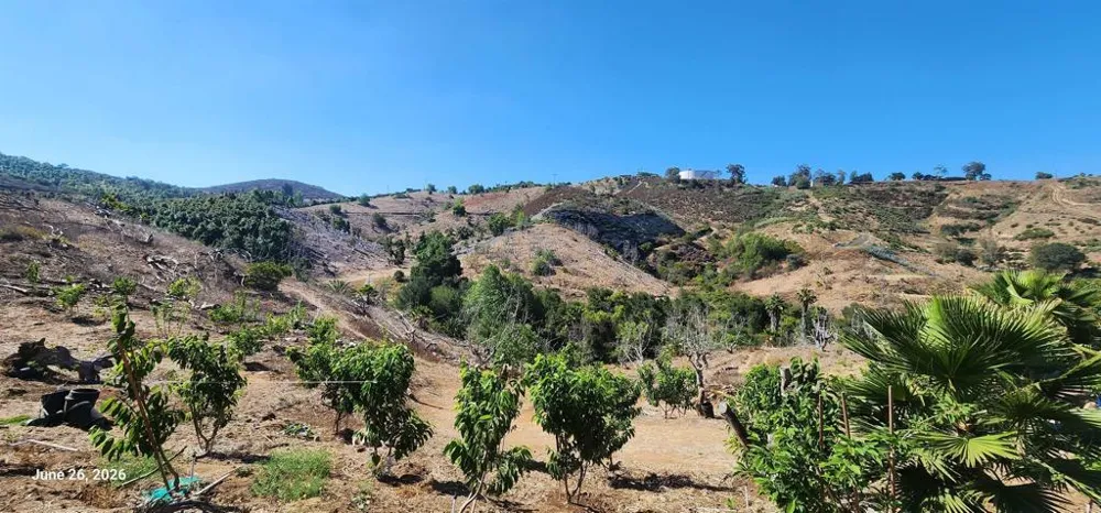 Gopher Canyon Road Vista, CA 92084