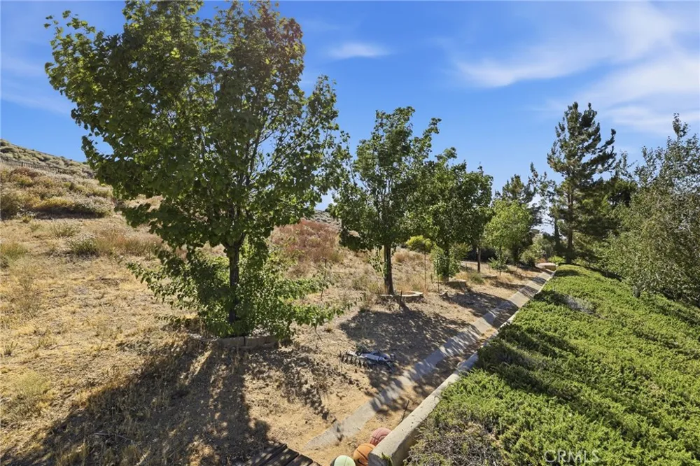 40301 Nido Court Palmdale, CA 93551