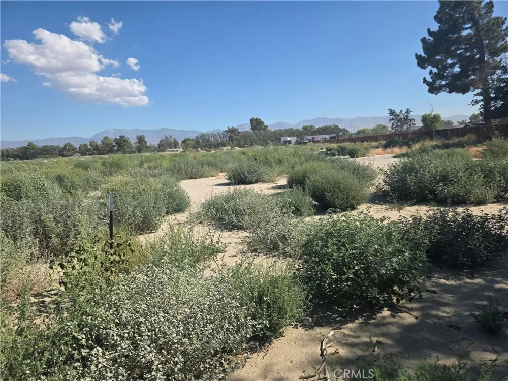150 Ste/Vic Black Butte, CA 93591