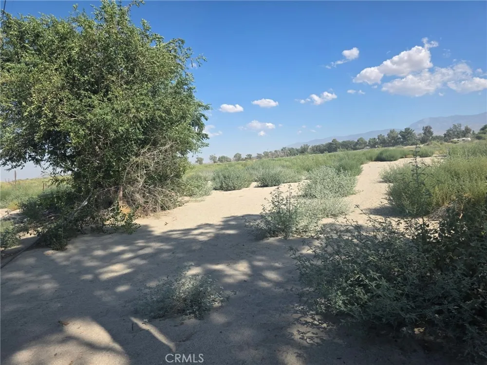 150 Ste/Vic Black Butte, CA 93591