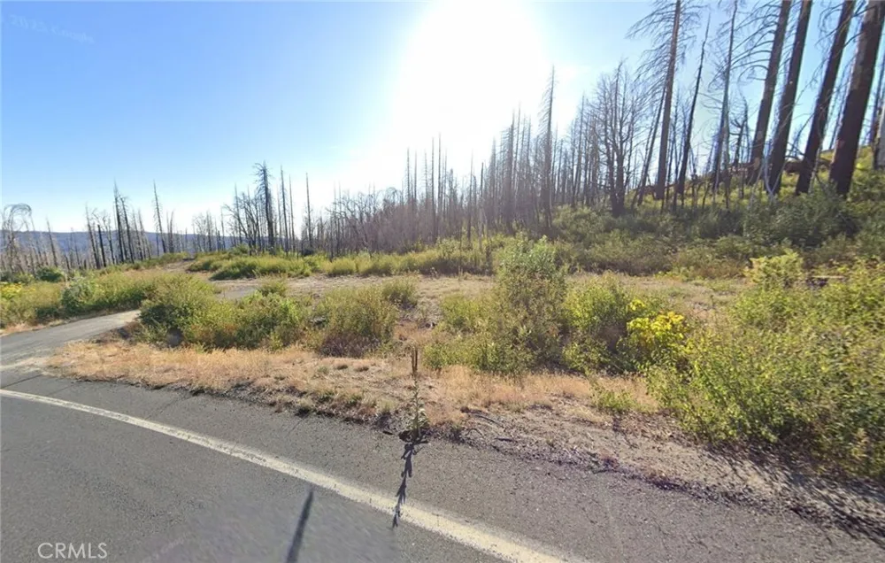 105 Oro Quincy Highway Berry Creek, CA 95916