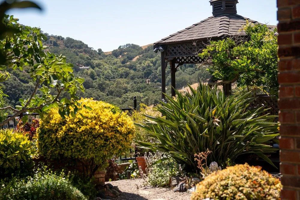 17975 Deer Run Court Morgan Hill, CA 95037