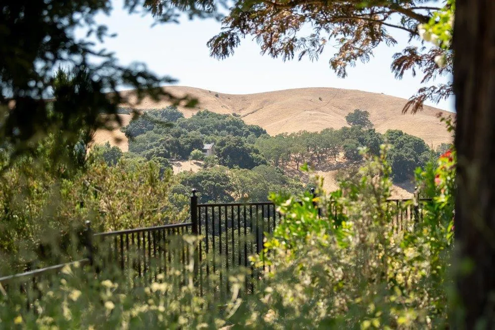 17975 Deer Run Court Morgan Hill, CA 95037