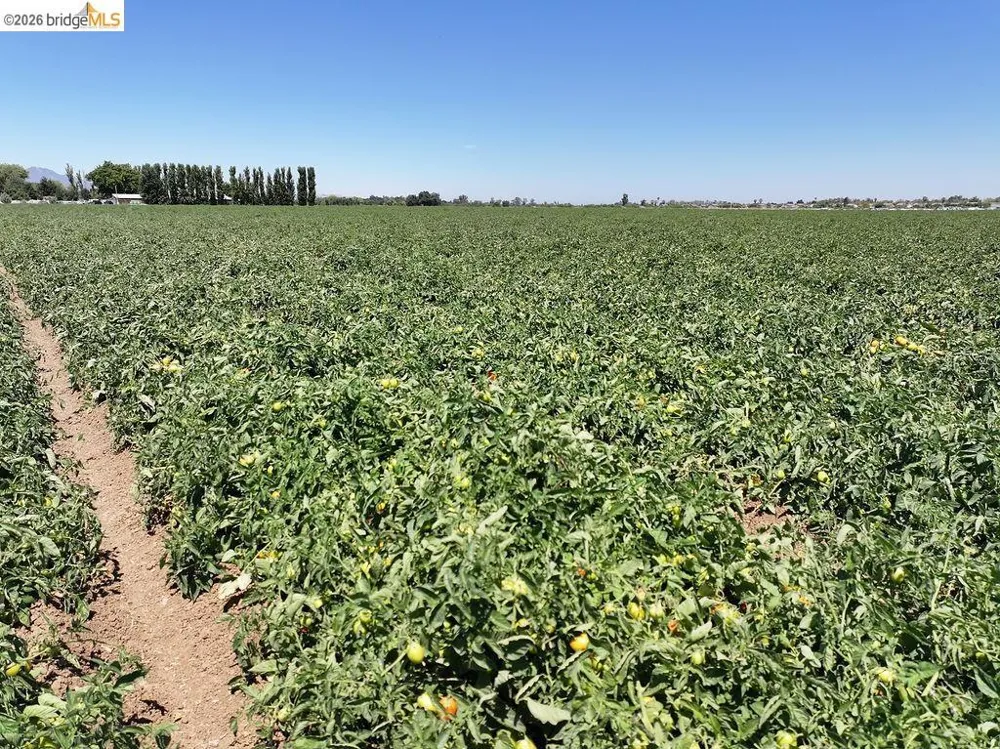 Bixler Rd Byron, CA 94514