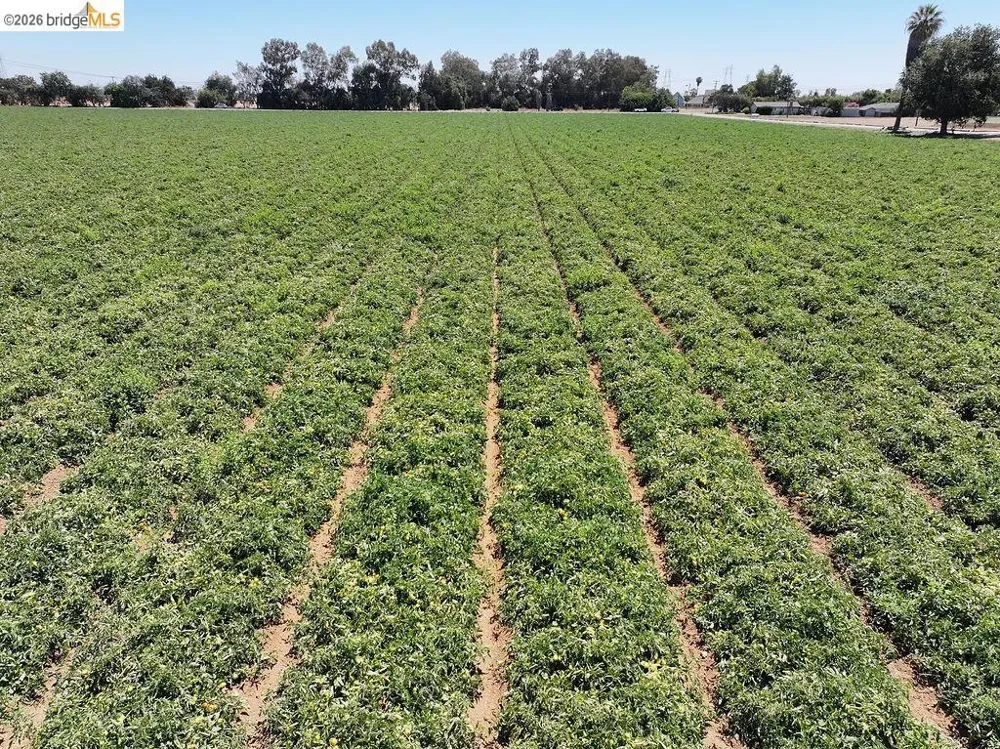 Bixler Rd Byron, CA 94514