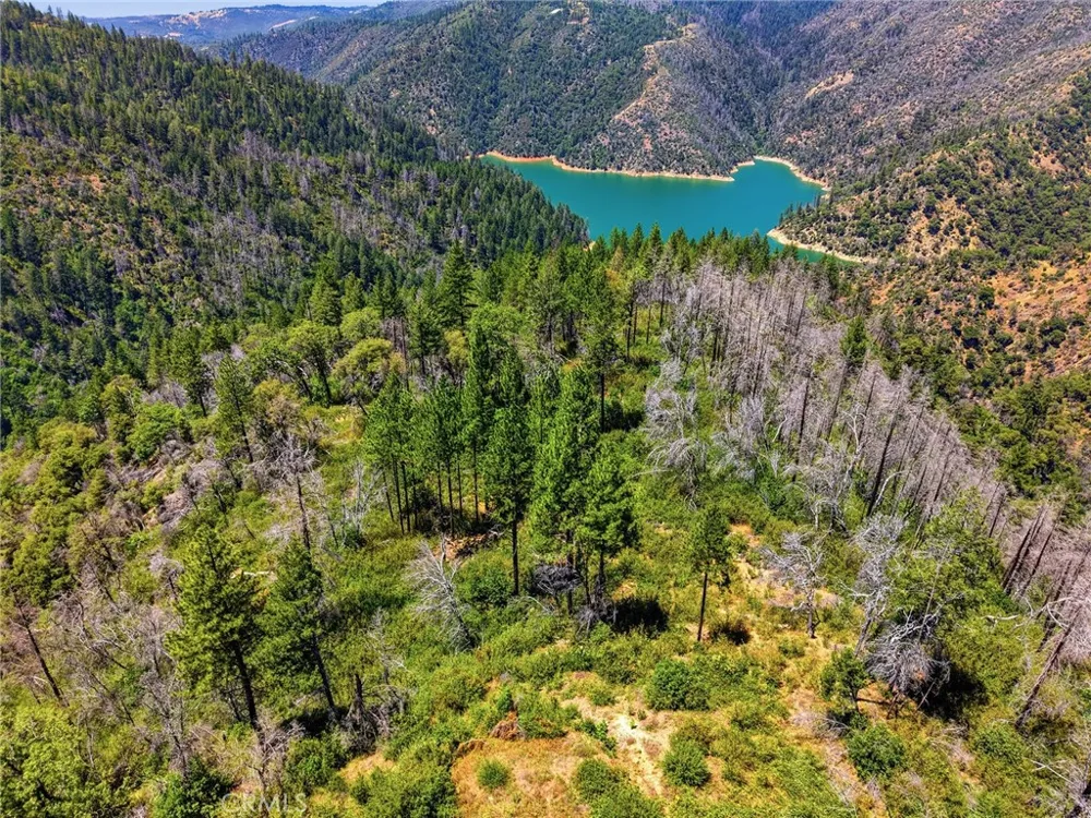 Berry Creek Road Berry Creek, CA 95966