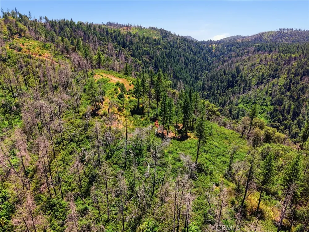 Berry Creek Road Berry Creek, CA 95966