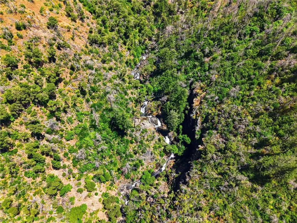 Berry Creek Road Berry Creek, CA 95966