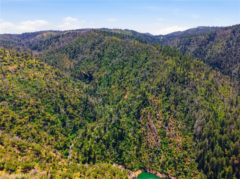 Berry Creek Road Berry Creek, CA 95966