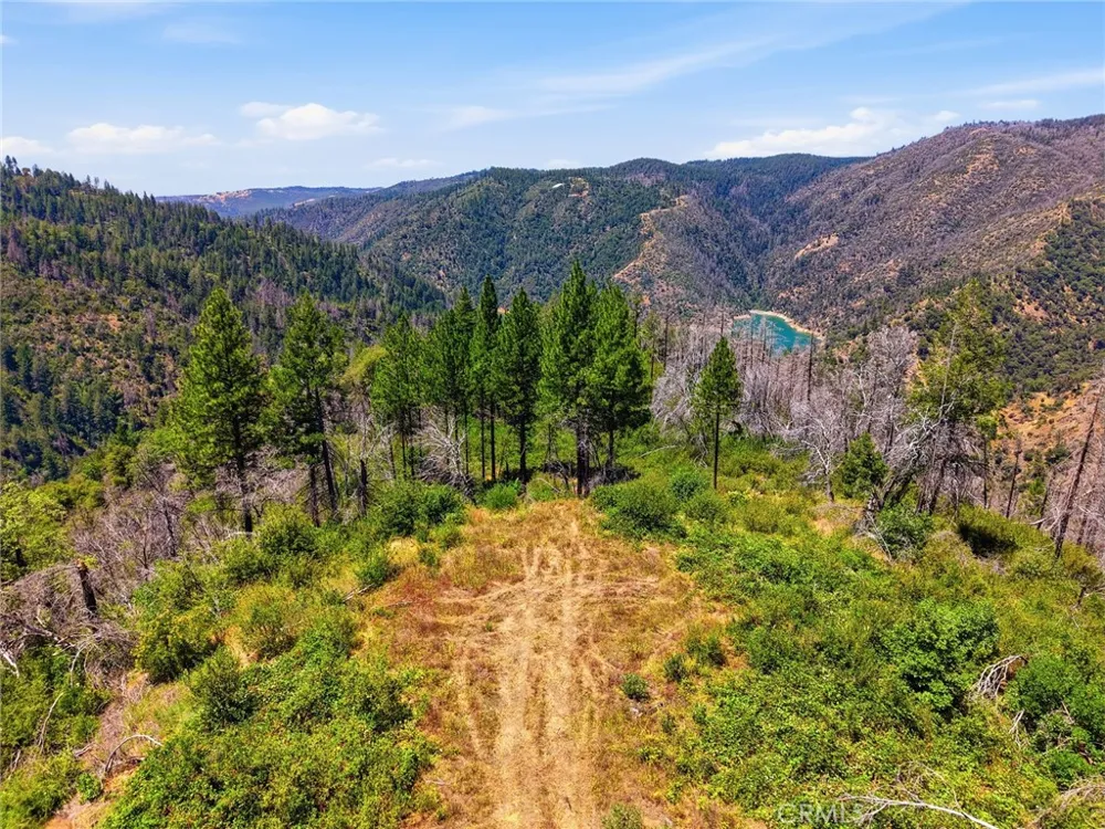 Berry Creek Road Berry Creek, CA 95966