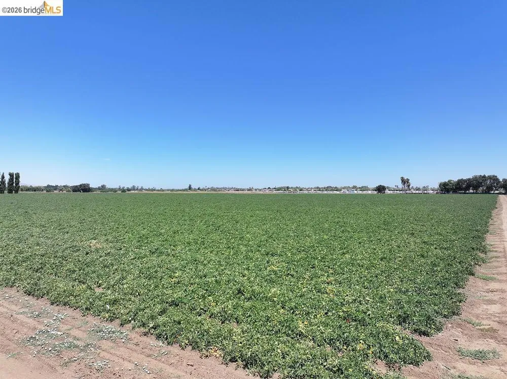 Bixler Rd Byron, CA 94514