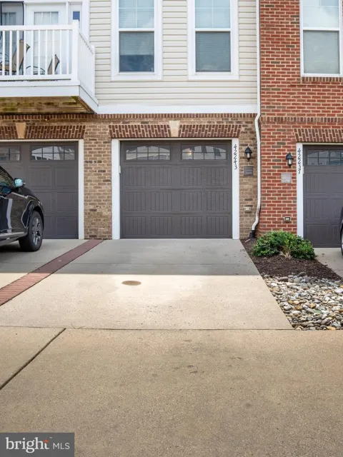 42243 CANARY GRASS SQUARE
