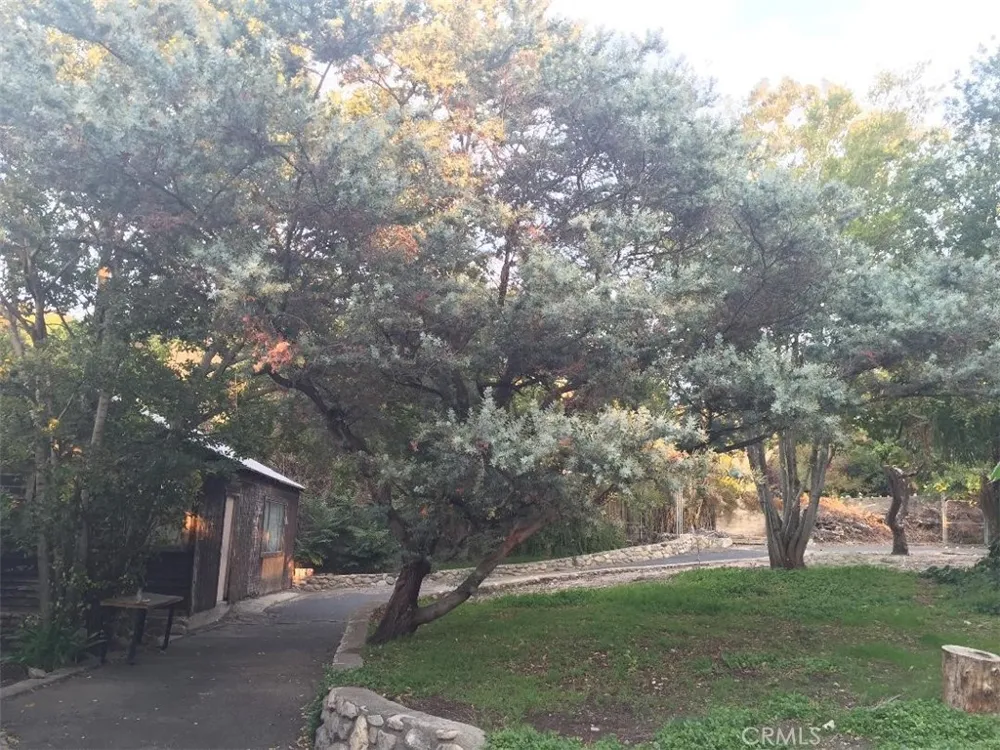 10630 Hillhaven Avenue Los Angeles, CA 91042