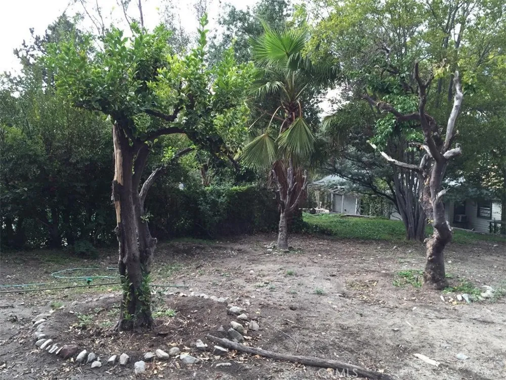 10630 Hillhaven Avenue Los Angeles, CA 91042