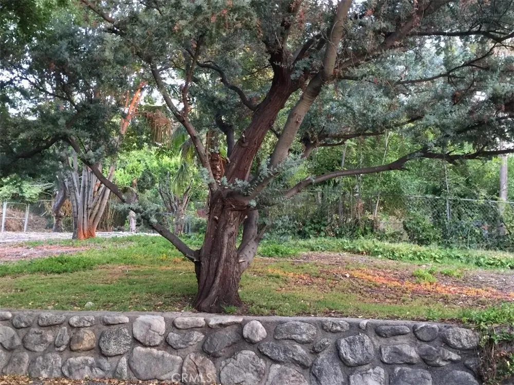 10630 Hillhaven Avenue Los Angeles, CA 91042