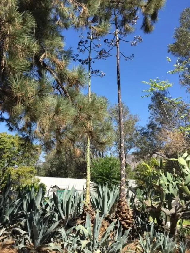 10630 Hillhaven Avenue Los Angeles, CA 91042