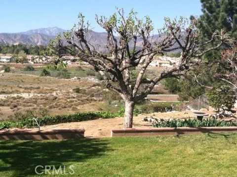 34786 Date Street Yucaipa, CA 92399